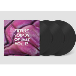 Varios Artistas - Future Sounds Of Jazz Vol.12 - 3 LPs