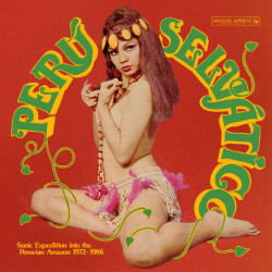 Various Artists - Cameroon Garage Funk - 2 LPs (Deluxe Vinyl Edition)