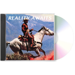Strokes, The - Reality Awaits (CD)