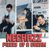 Nechazz - Habibi Funk 036: Pieces Of A Dream - LP