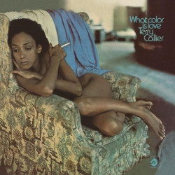 Callier, Terry - What Color Is Love - LP 180 Gr.