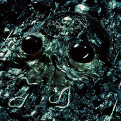 King Gizzard & The Lizard Wizard - Alien Metal - LP (Translucent Black Vinyl Edition)