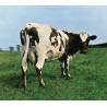 Pink Floyd - Atom Heart Mother - CD