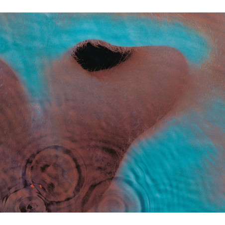 Pink Floyd - Atom Heart Mother - CD