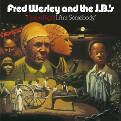 Wesley, Fred & The J. B. s' - Damn Right I Am Somebody - LP