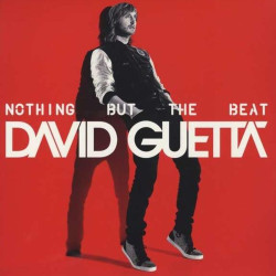 Guetta, David - Nothing But The Beat - 2 LPs