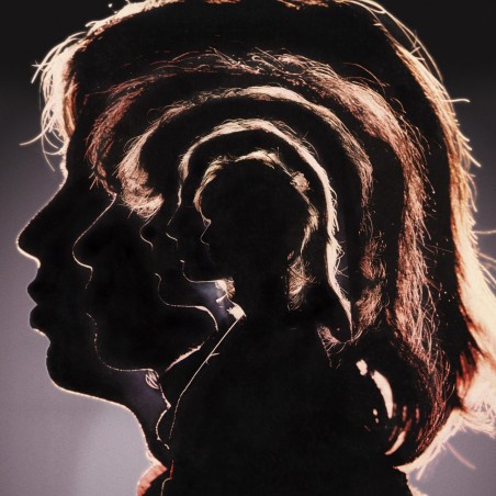 Rolling Stones, The - Hot Rocks - 2 LPs 180 Gr.