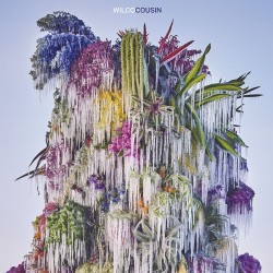 Wilco - Cousin - LP