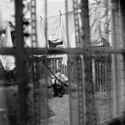 McCartney, Paul - Chaos And Creation In The Backyard - LP 180 Gr.