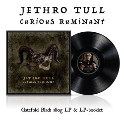 Jethro Tull - Curious Ruminant - LP 180 Gr.