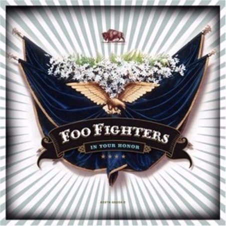 Foo Fighters - In Your Honor - 2 LPs 180 Gr.