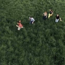 Parcels - Loved - LP (Indie Blue Vinyl Edition)