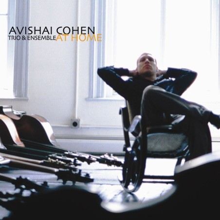 Cohen, Avishai - At Home - 2 LP 180 Gr. (20th Anniversary Vinyl Edition)