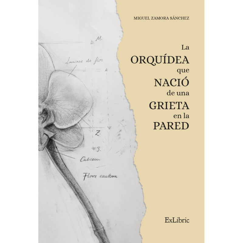 Sánchez, Miguel Zamora - La Orquídea Que Nació De Una Grieta En La Pared (Libro)