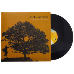 Johnson, Jack - In Between Dreams - LP 180 Gr.