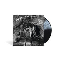 Aerosmith - Night In The Ruts - LP 180 Gr.