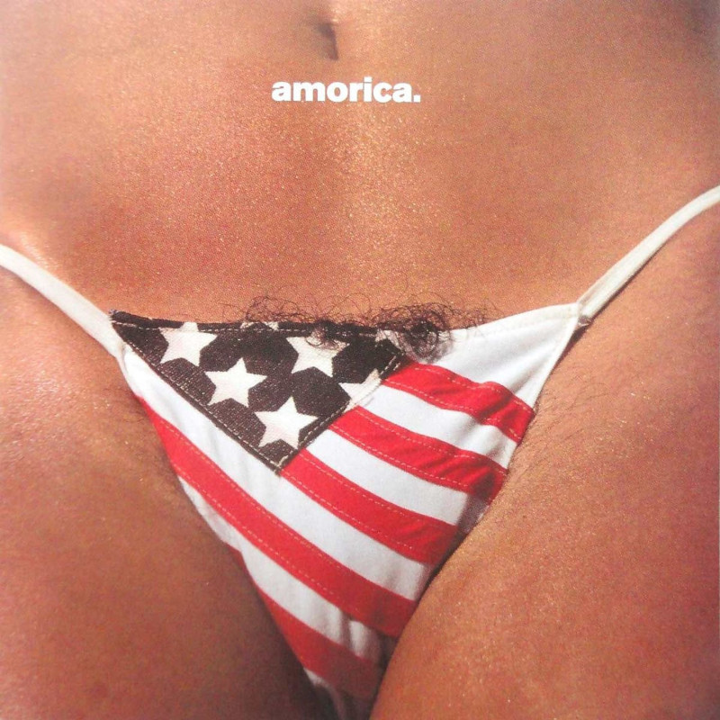 Black Crowes, The - Amorica - 2 LPs 180 Gr.