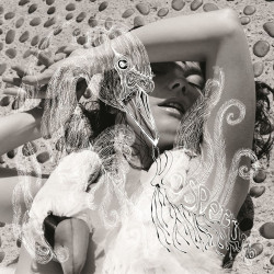 Bjork - Vespertine - 2 LPs