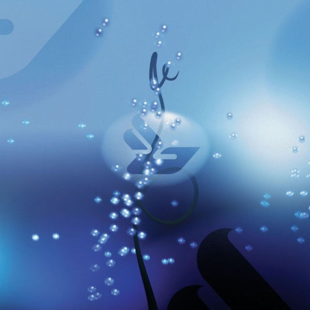 Bjork - Joga - 2 LPs