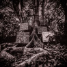Washington, Kamasi - Harmony Of Difference (CD)