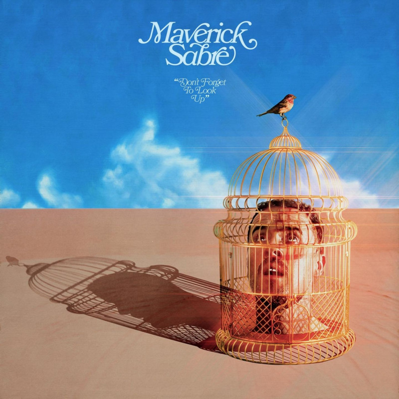 Sabre, Maverick - Don't Forget To Look Up - 2 LPs