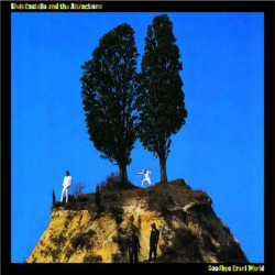 Costello, Elvis - Goodbye Cruel World - LP 180 Gr.