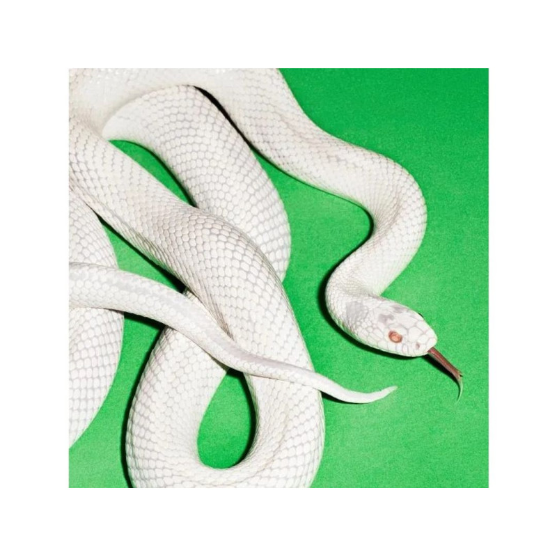 Deftones - Private Music - LP