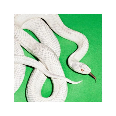 Deftones - Private Music - LP