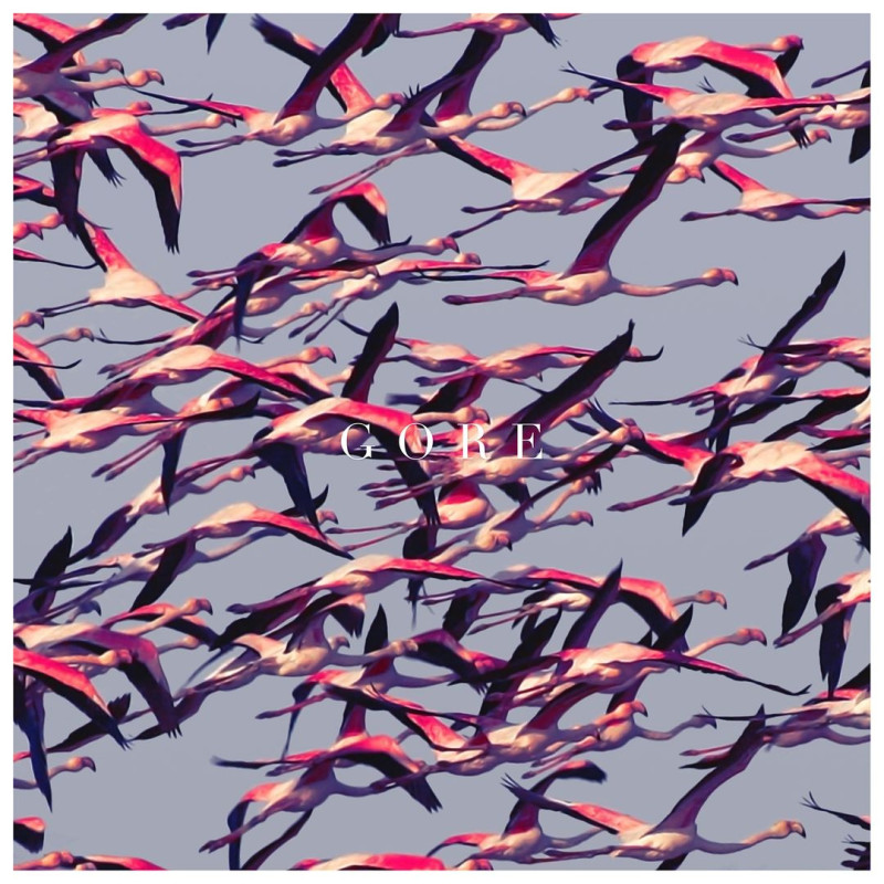 Deftones - Gore - 2 LPs (White Vinyl Edition)