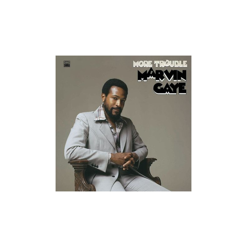 Gaye, Marvin - More Trouble - LP 180 Gr.
