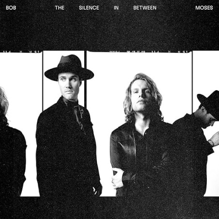 Moses, Bob - The Silence In Between - LP