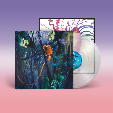 Bonnie 'Prince' Billy - We Are Together Again - LP (Indie Clear Vinyl Edition)