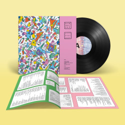 Hen Ogledd - Discombobulated - LP (Standard Vinyl Edition)