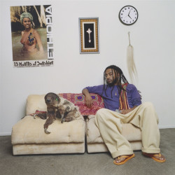 Aminé - 13 Months Of Sunshine - 2 LPs