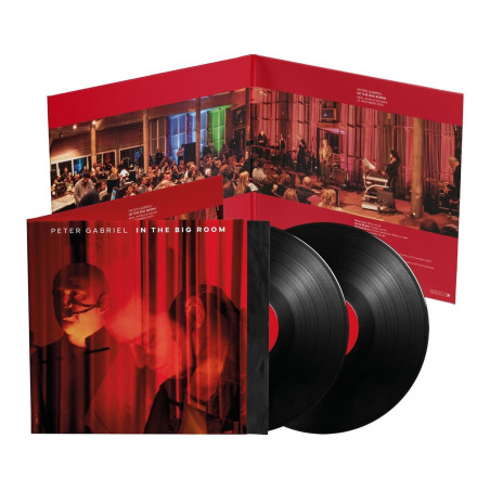Gabriel, Peter - In The Big Room - 2 LPs 180 Gr.