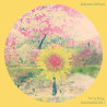 Alabaster Deplume - To Cy & Lee: Instrumentals Vol. 1 - LP