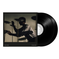 Blake, James - Trying Times - 2 LPs