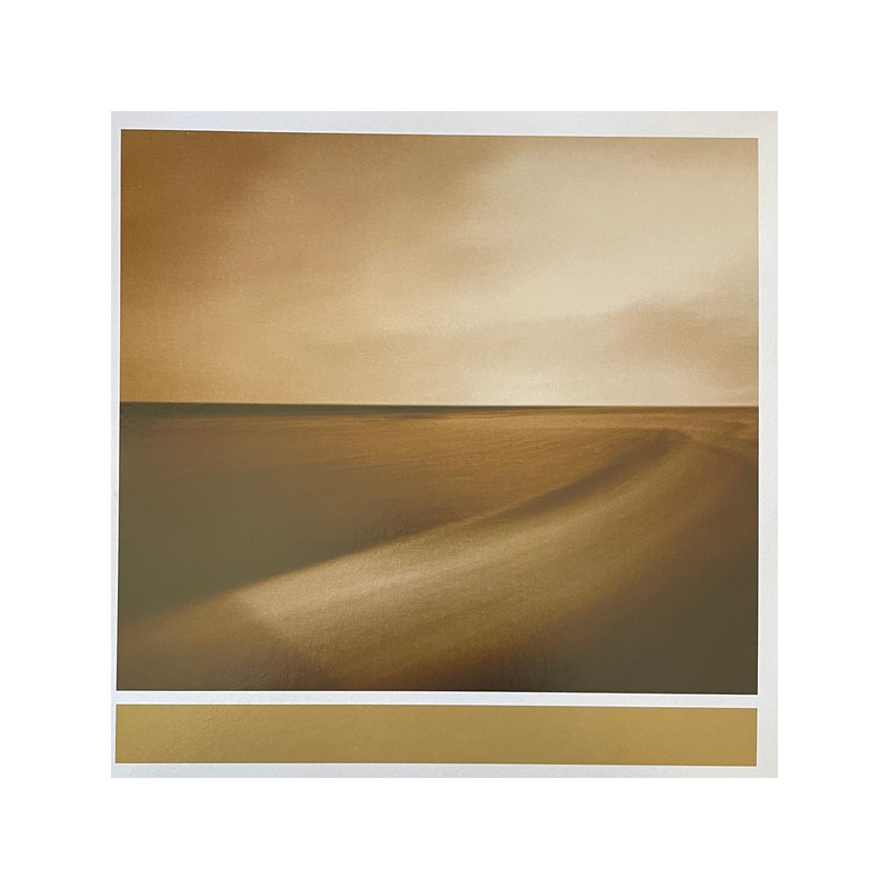 Eno, Brian With Hopkins, Jon & Abraham, Leo - Small Craft On A Milk Sea - 2 LPs (RSD 2026 Expanded Limited Vinyl Edition)