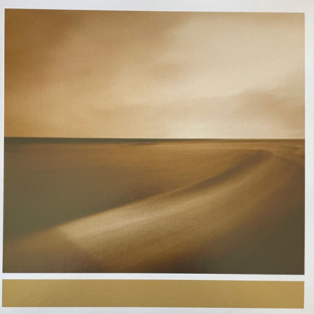 Eno, Brian With Hopkins, Jon & Abraham, Leo - Small Craft On A Milk Sea - 2 LPs (RSD 2026 Expanded Limited Vinyl Edition)