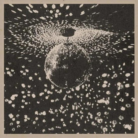 Young, Neil - Mirror Ball - 2 LPs