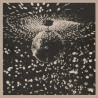 Young, Neil - Mirror Ball - 2 LPs