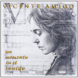 Amigo, Vicente - Un Momento En El Sonido (CD)