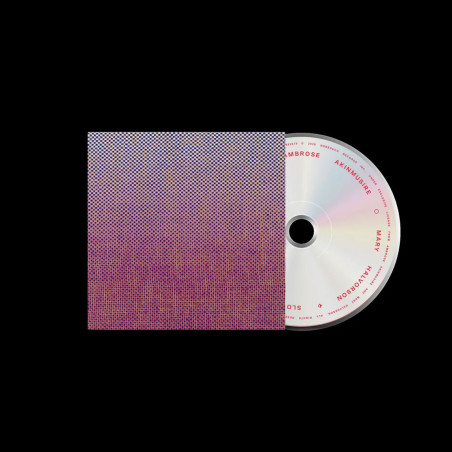 Akinmusire, Ambrose & Halvorson, Mary - Slo-Mo Neon Luminate Hoverings (CD)