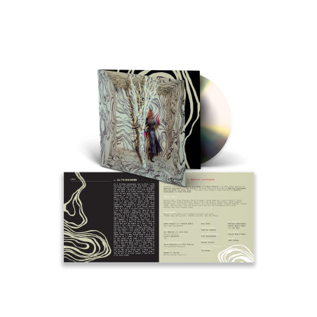 Cunningham, Madison - Revealer (CD)