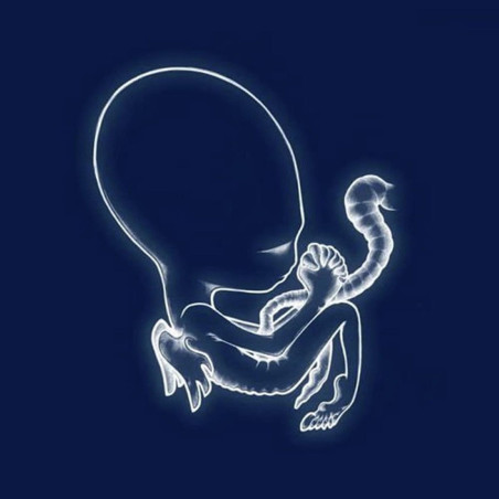 Sigur Rós - Agaetis Byrjun - 2 LPs